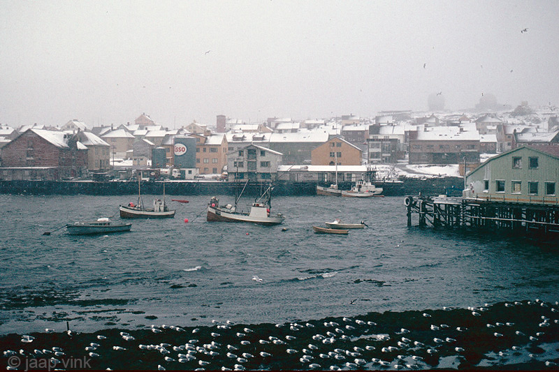 Snow in June - Sneeuw in juni