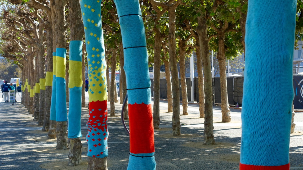 Civic Center Plaza Trees