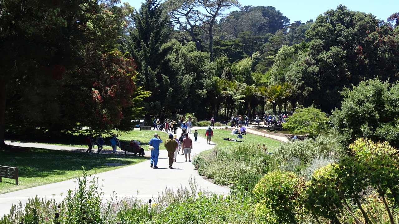 San Francisco Botanical Garden