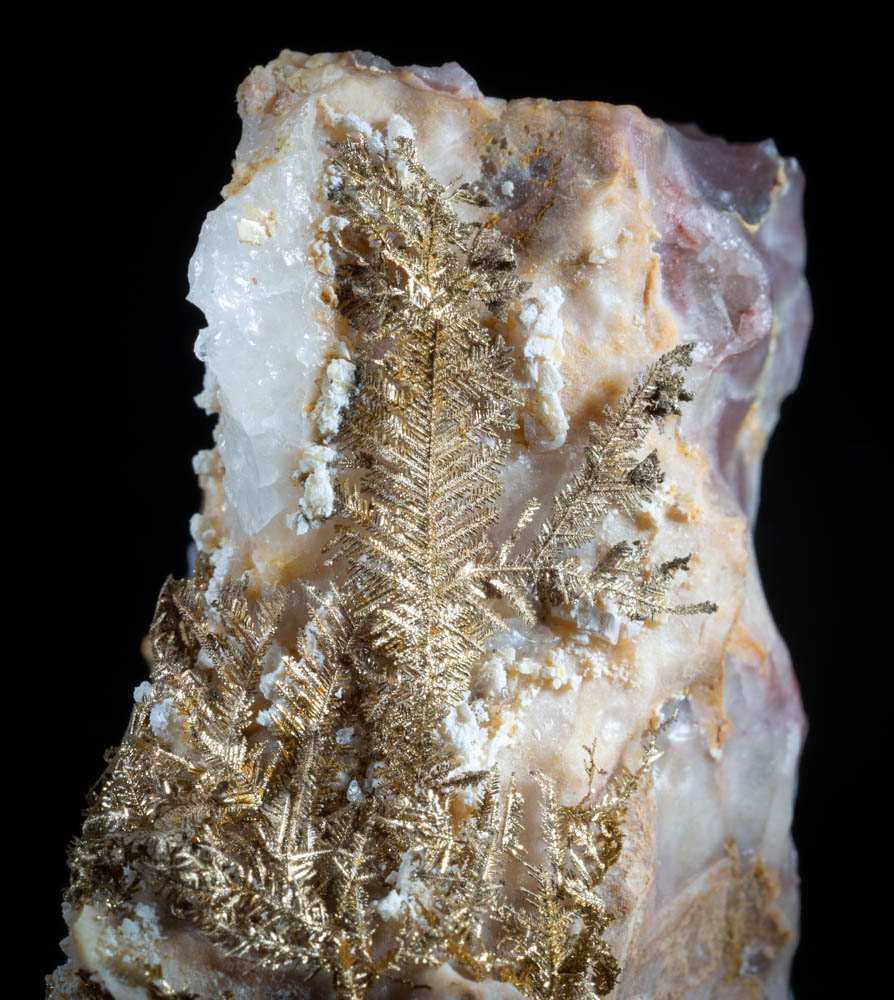 Crystalline ferns of gold in Calcite, Hopes Nose, Torquay, Devon. Published specimen