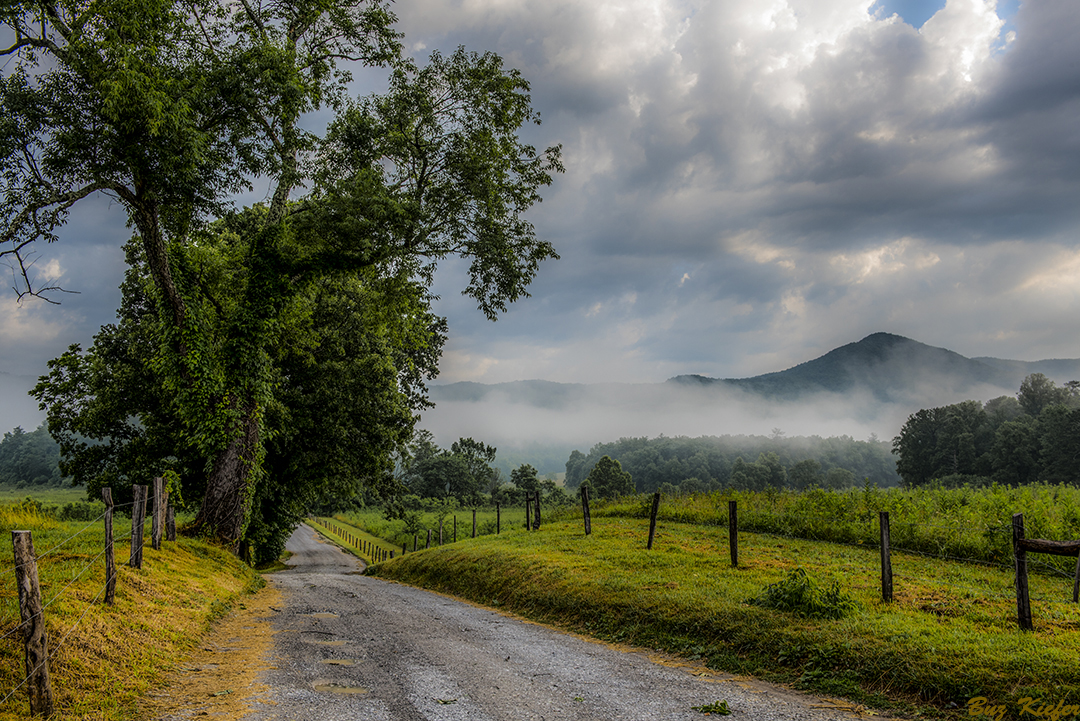 June On Hyatt Lane 