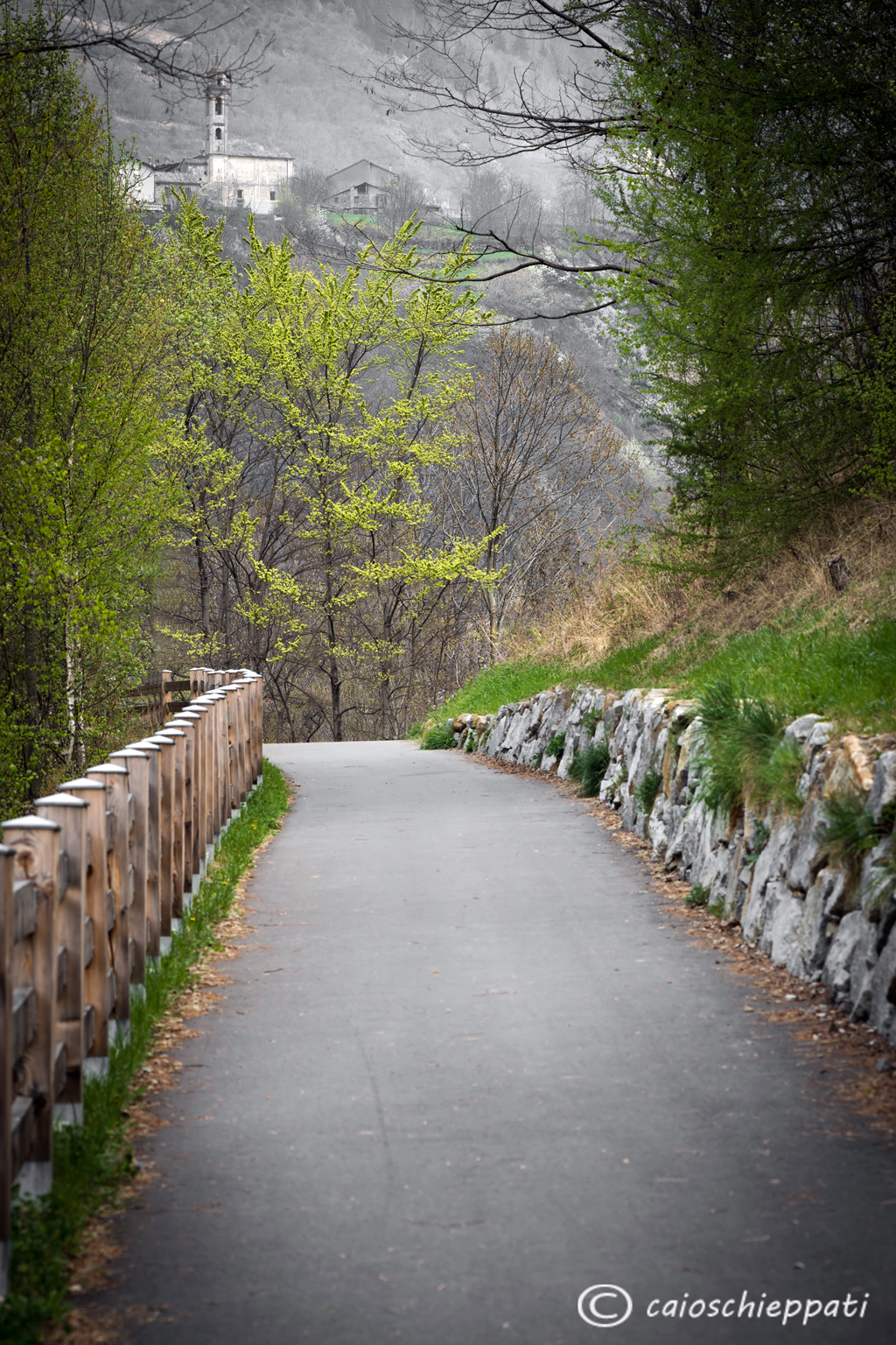 La pista ciclabile