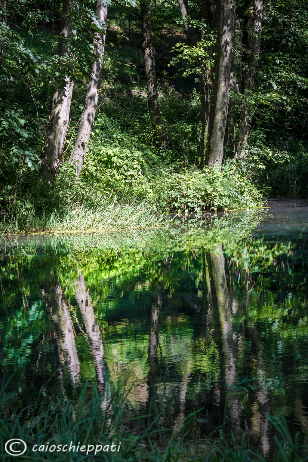 Riflessi al laghetto