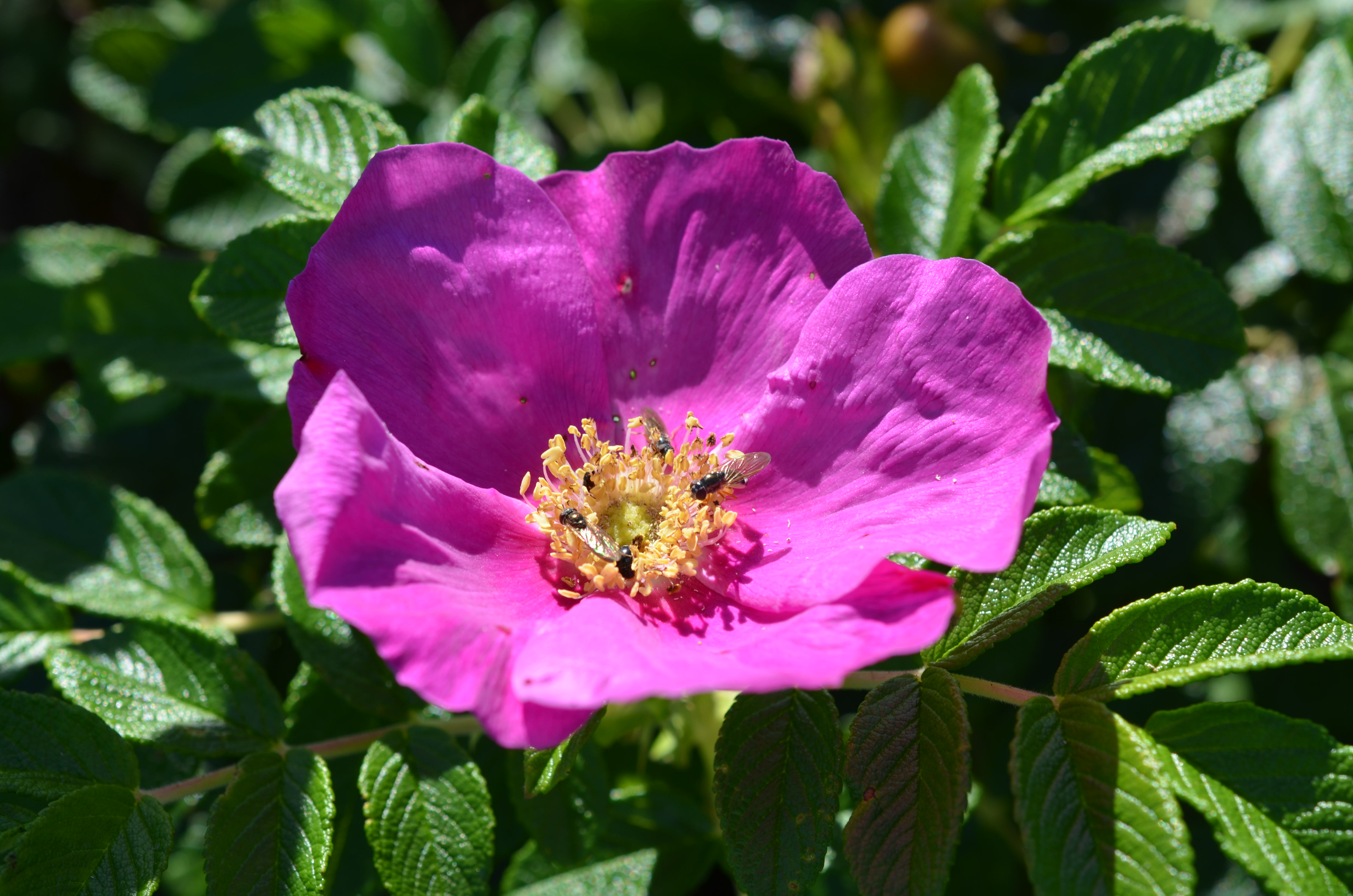 3_DSC_0276.JPG