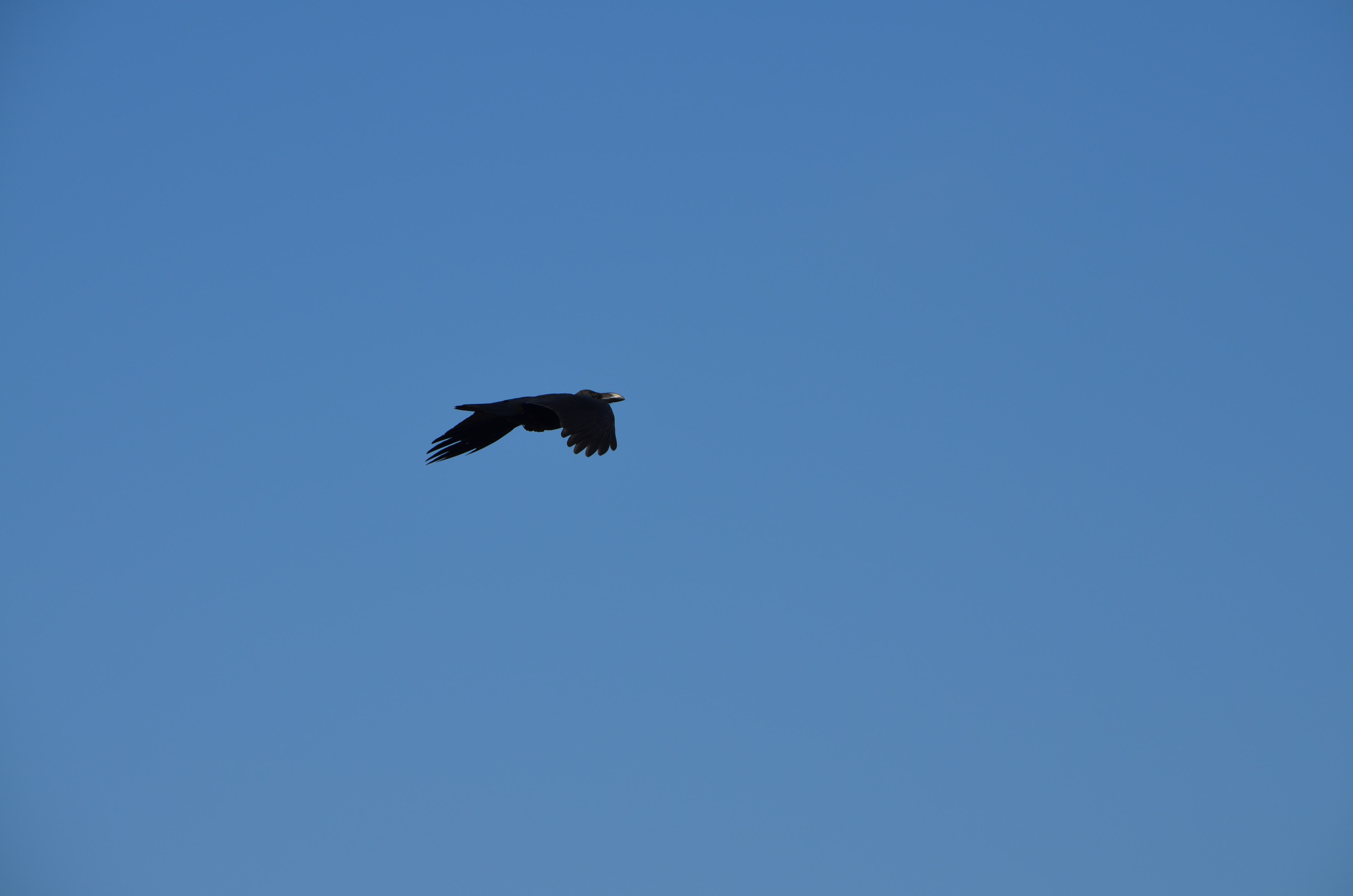 1_DSC_0104.JPG