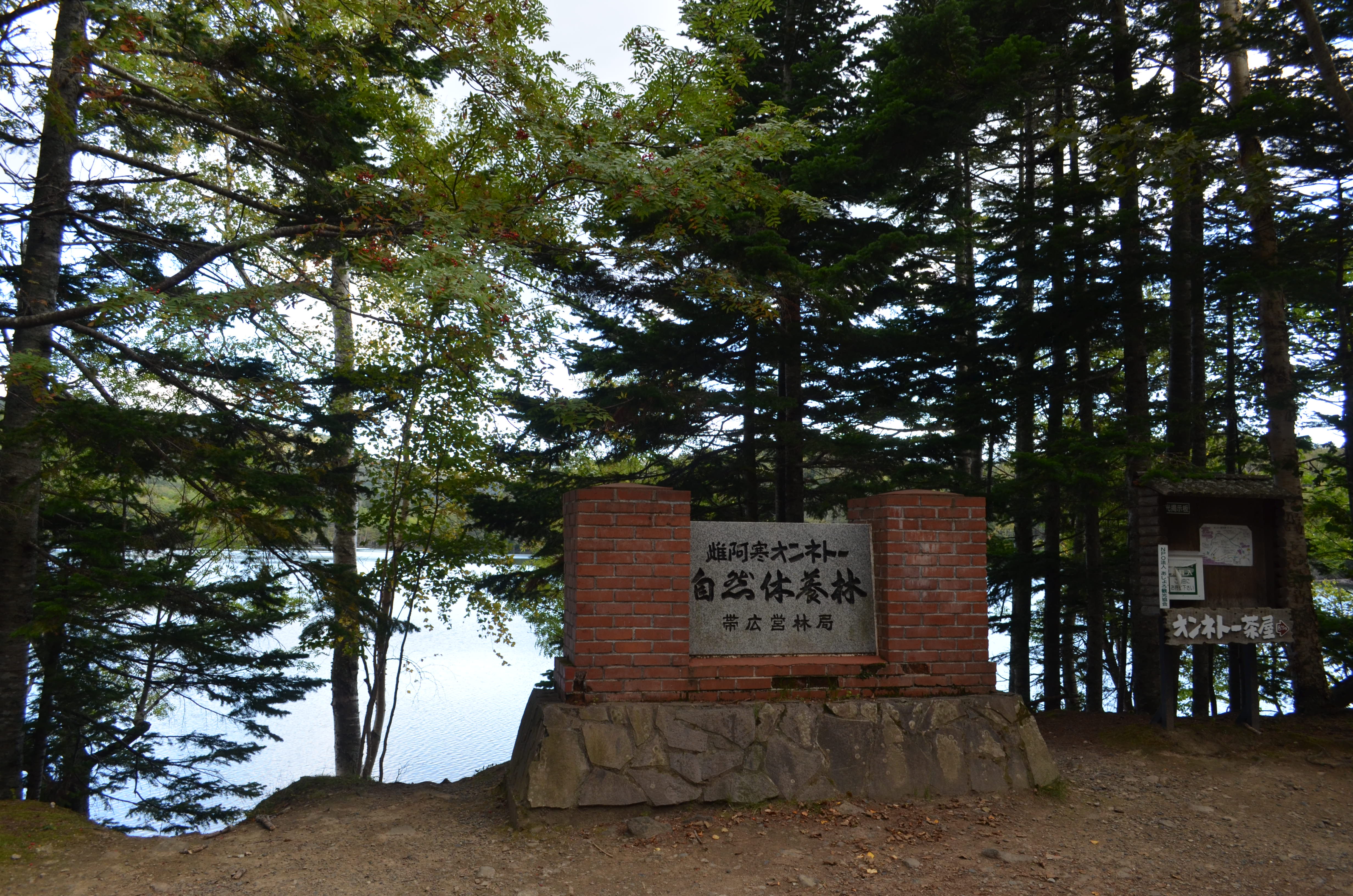 3_DSC_0045.JPG