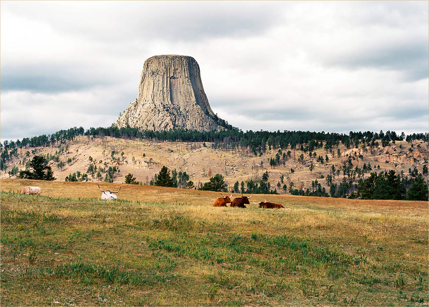 Devils Tower #3