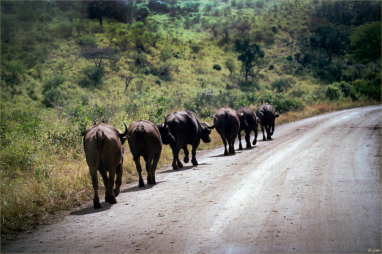 Obeying The Road Rules and Two Hitchhickers