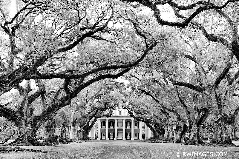 OAK ALLEY PLANTATION