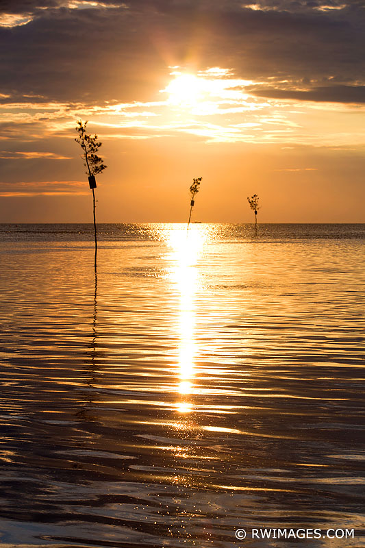 CAPE COD SUNSET