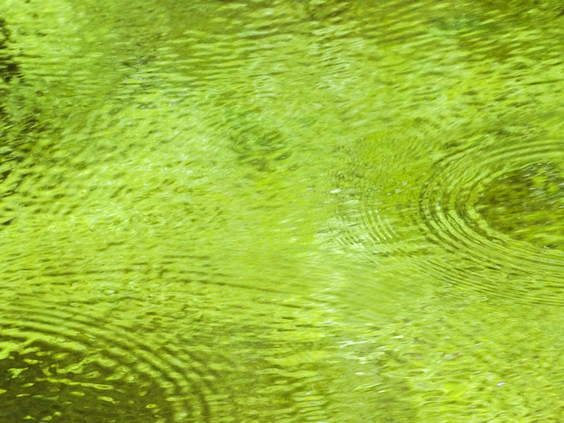 liquid green 327