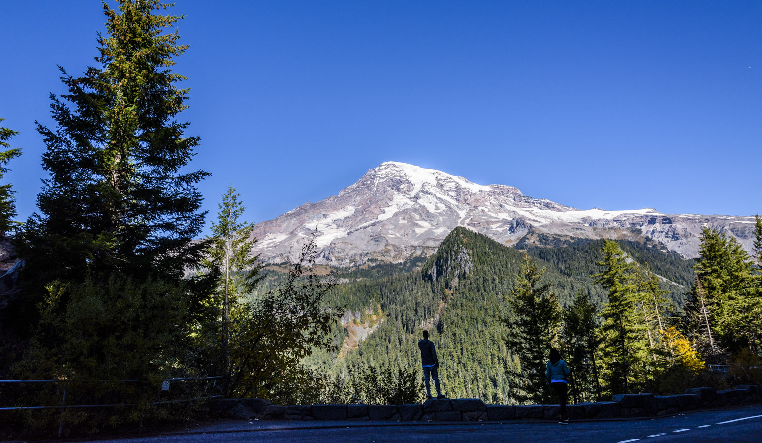 Mount Rainier View
