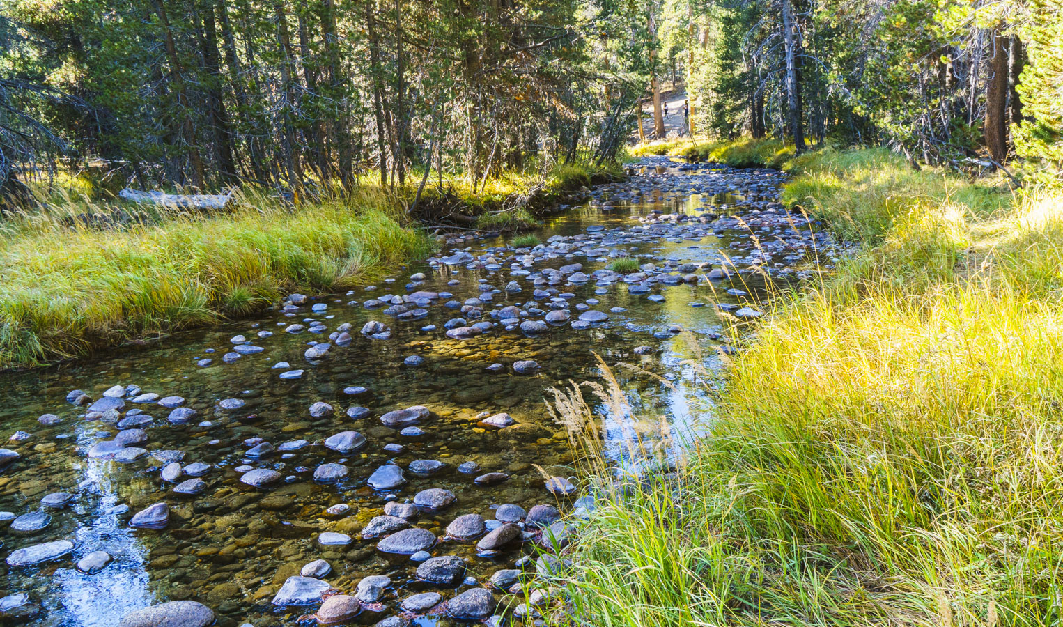 Lyell Fork Pebbles