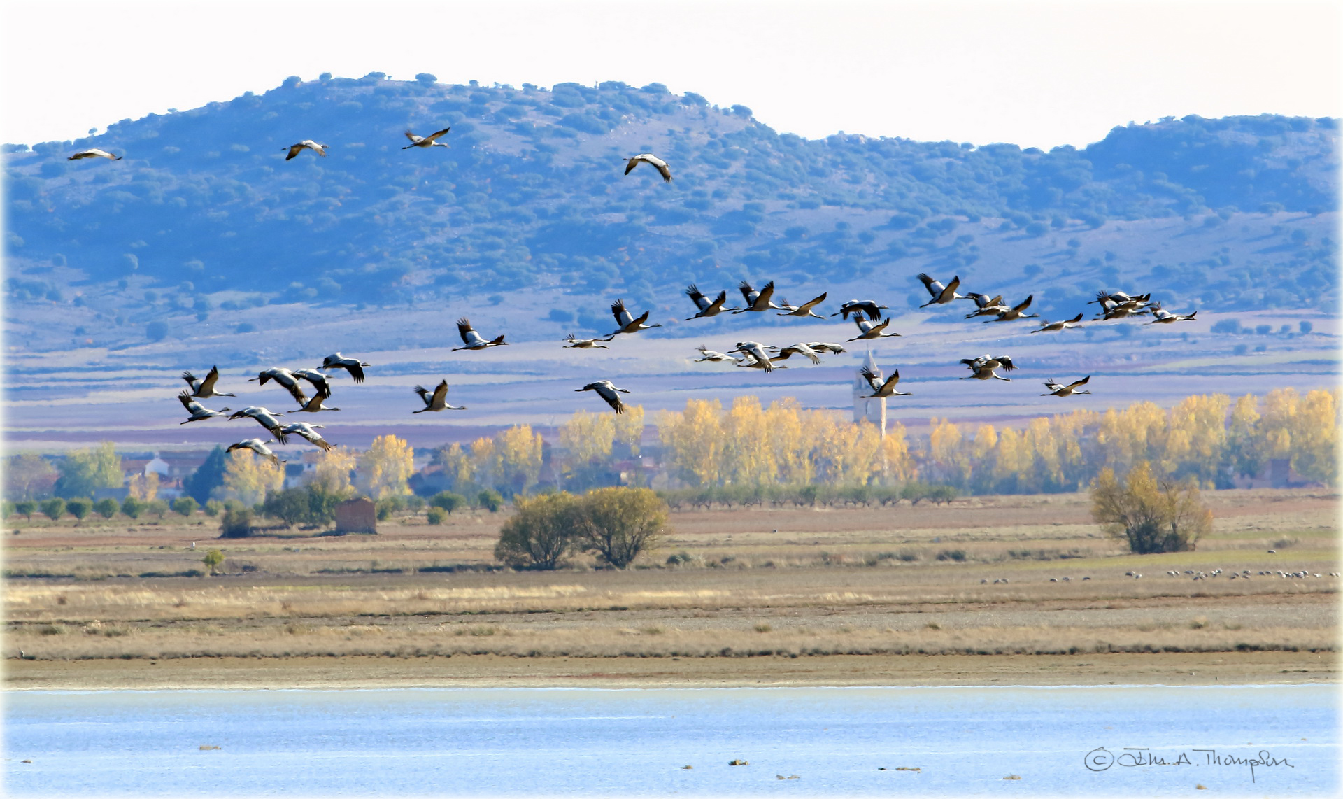 Laguna Gallocanta