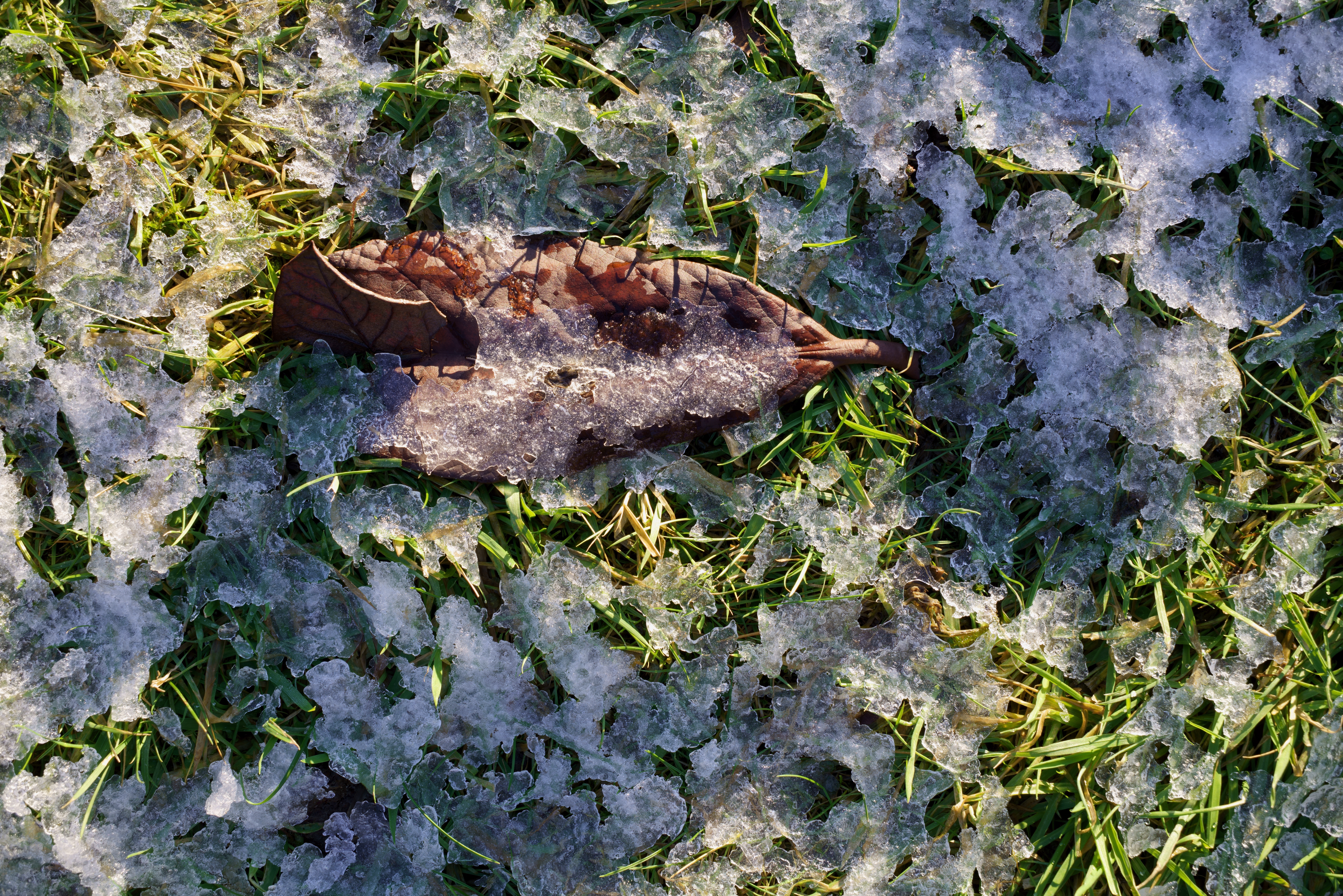 35mmSMC-f11-iso100-PS-level10.jpg