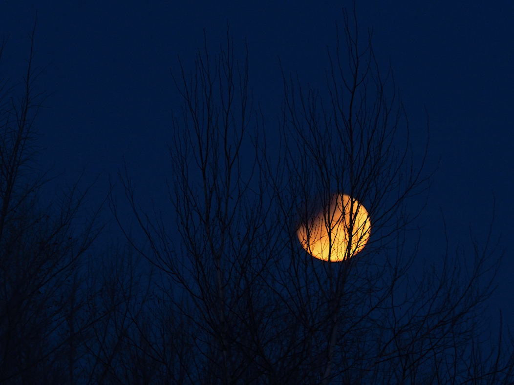SUPER LUNE BLEUE / clipse / 31 Janvier 2018 / 7:01