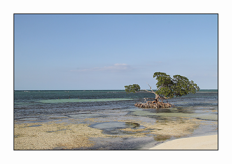 IMG_0982KL.jpg