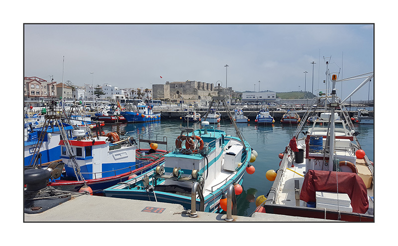 Tarifa