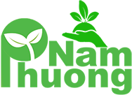 hat-giong-phuong-nam-22.png