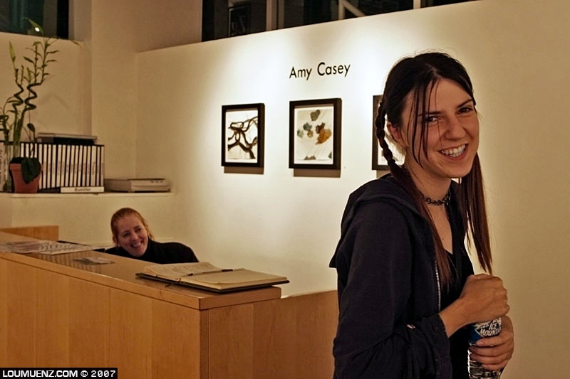 amy casey @ the Zg gallery, chicago