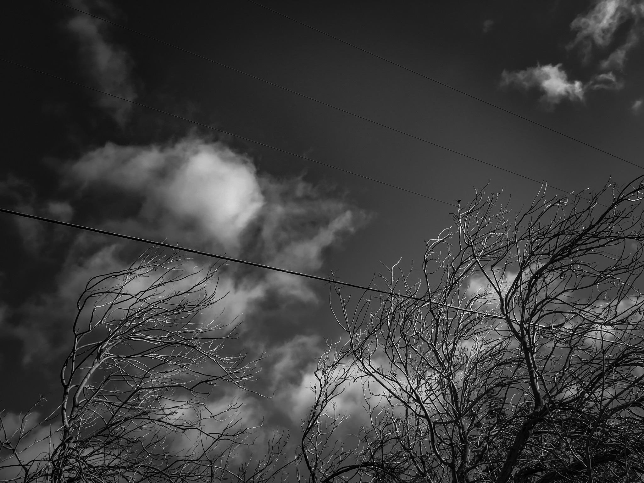 Lines