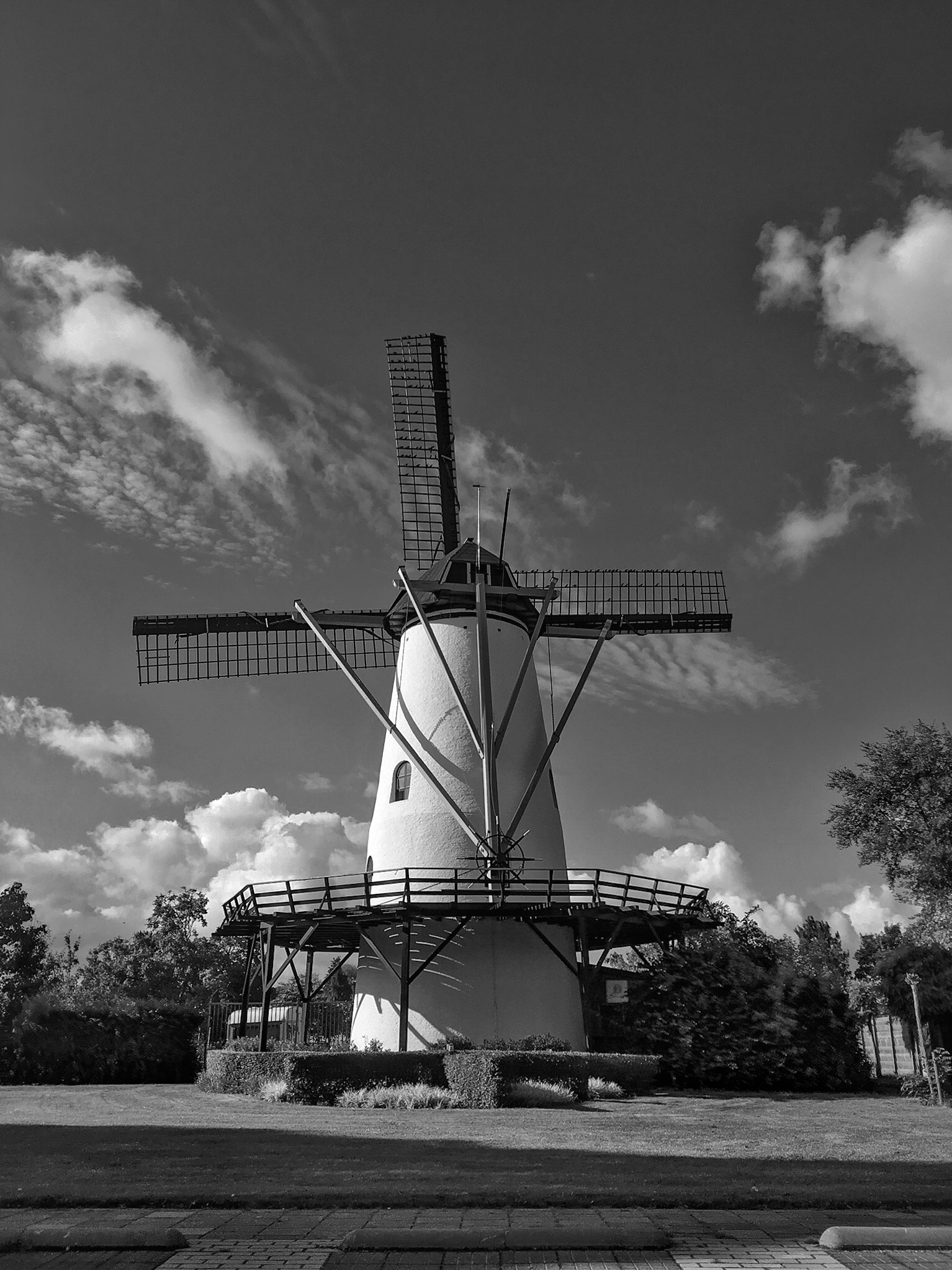 Dutch