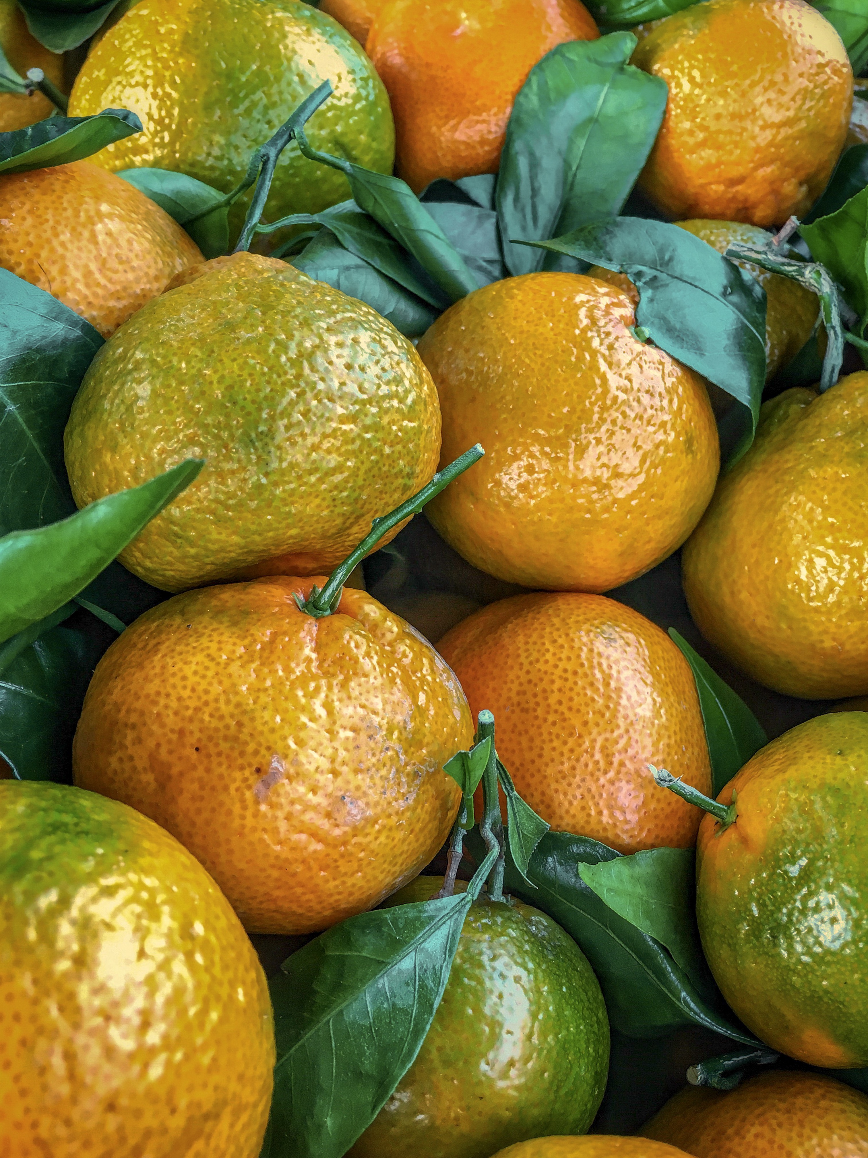 Mandarines