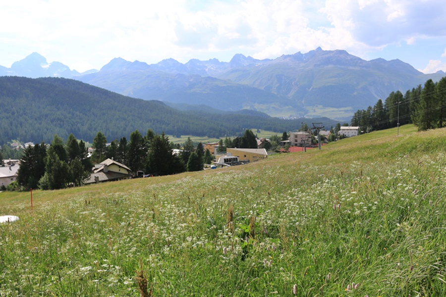 Hiking in Pontresina