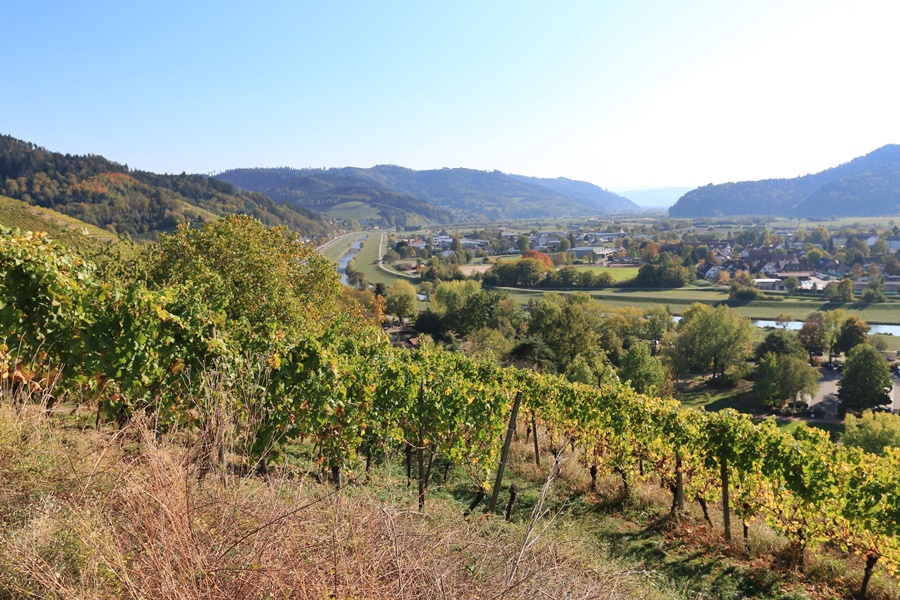 Kinzig Valley