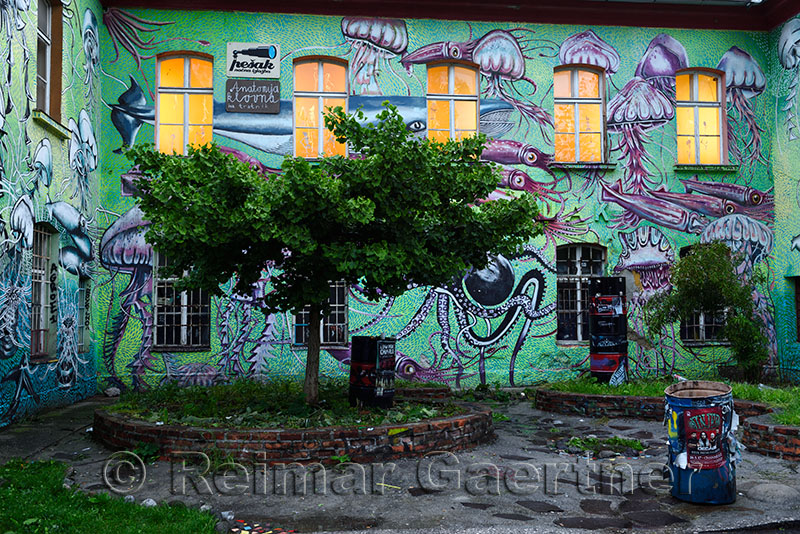 Underwater Graffiti on studio at Metelkova City Autonomous Cultural Center squat former Yugoslav National Army military barracks