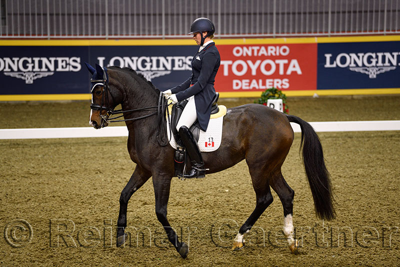 Megan Lane riding dancing Caravella at Royal International Dressage Cup at Ricoh Coliseum Royal Horse Show Exhibition Place Toro