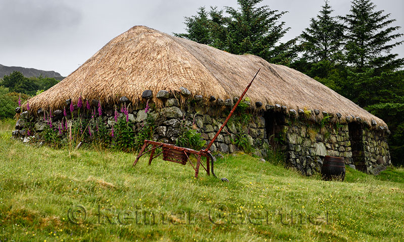 Colbost Croft Museum Blackhouse with stone walls and rocks holding netting for thatched roof Isle of Skye Scotland UK