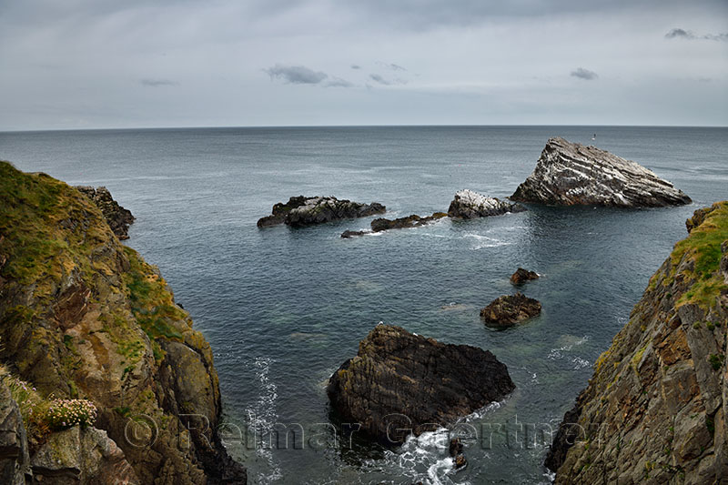 Sea rocks at coastal cliffs beside Bow Fiddle Rock with seagulls and Cormorants in Moray Firth North Sea at Portknockie Scotland