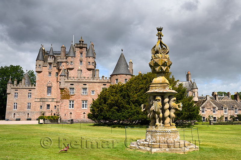 Front lawn of Glamis Castle with wild Ring-necked Pheasant and The Great Sundial with 80 sundials on top and 4 held by Lions Sco