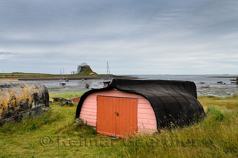 Bright door of shed made of overturned boat cut in half on Holy Island with Lindisfarner Castle ruins under renovation England U