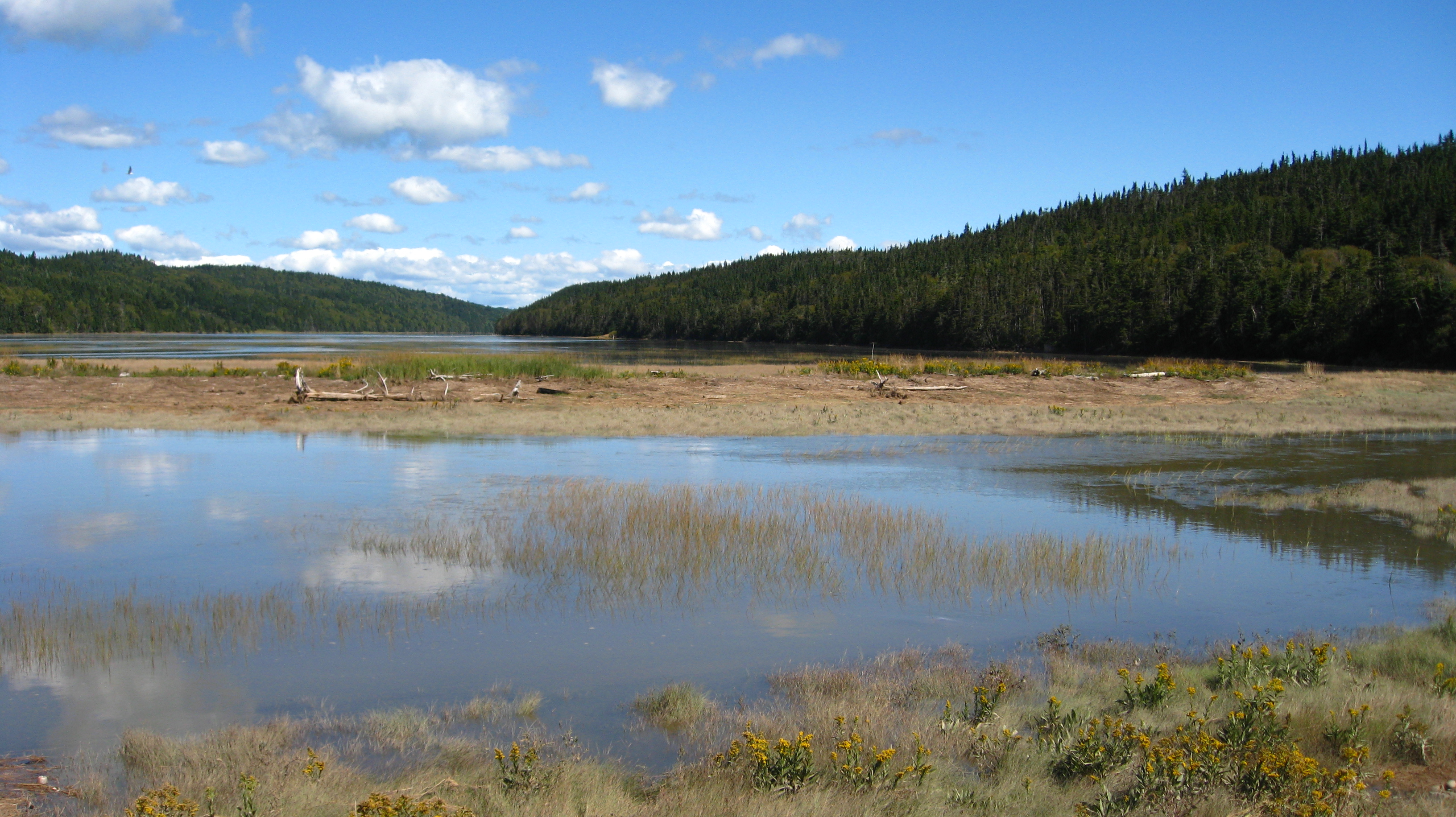 Post-paddle view of right side of Barn Marsh Creek