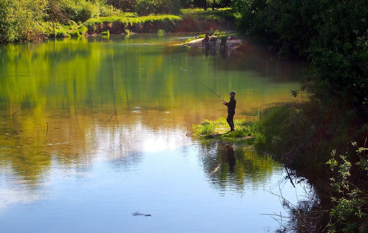 fishing