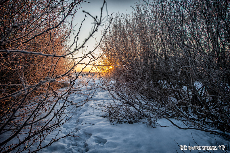 Morning Trail