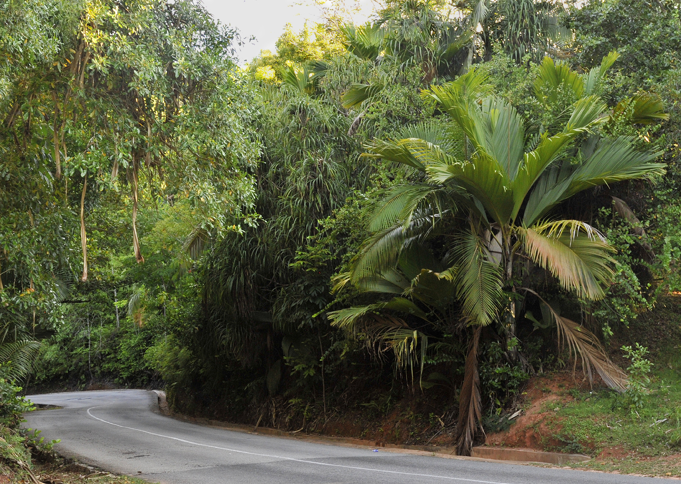 Praslin road.