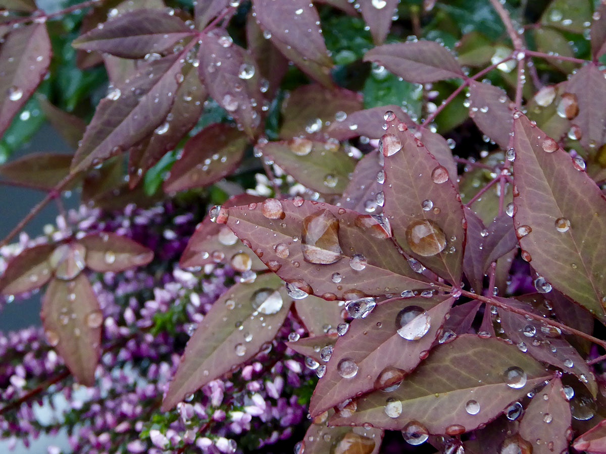 A rainy Sunday
