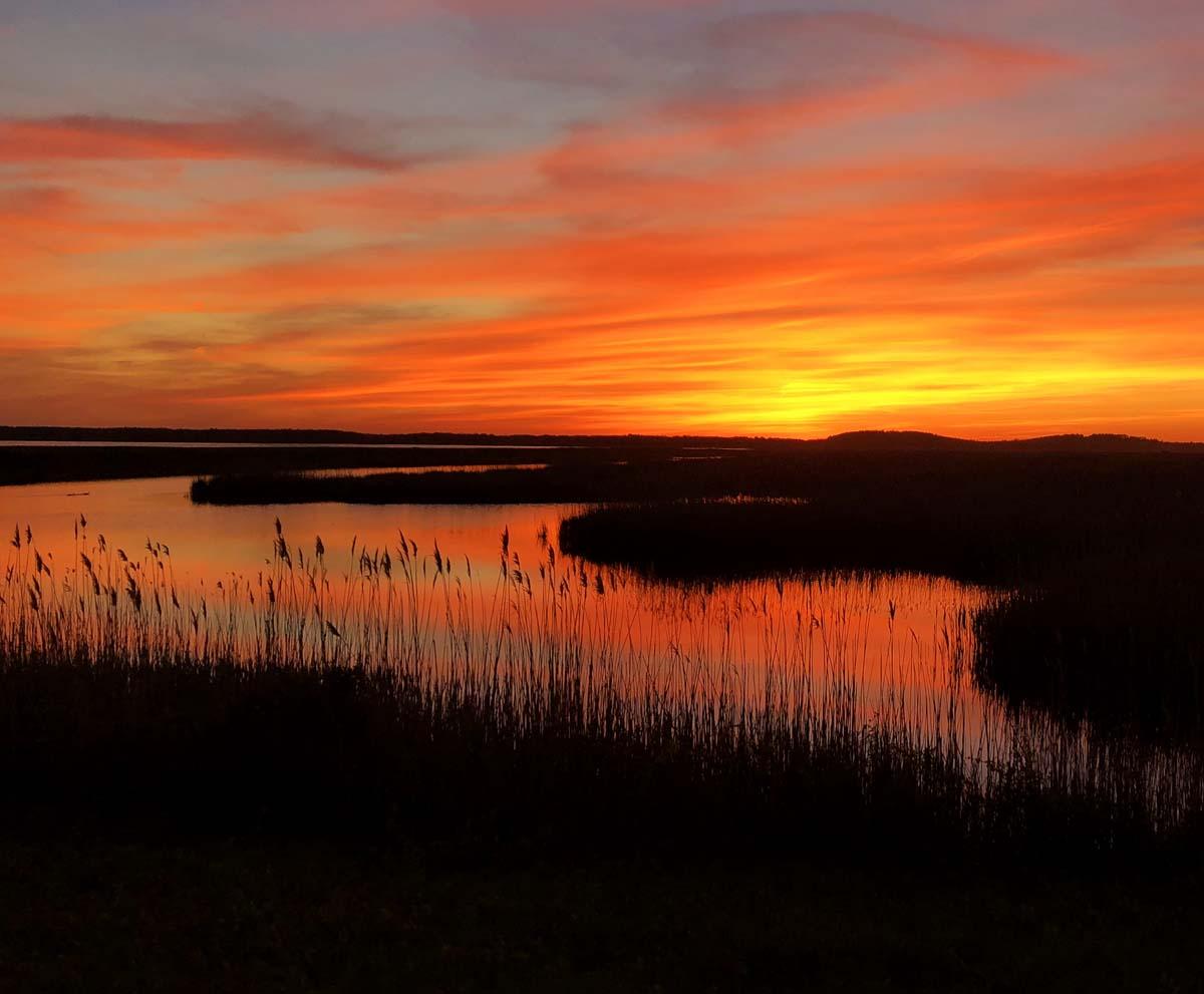 Sunset_Plum_Island_51818_rs.jpg