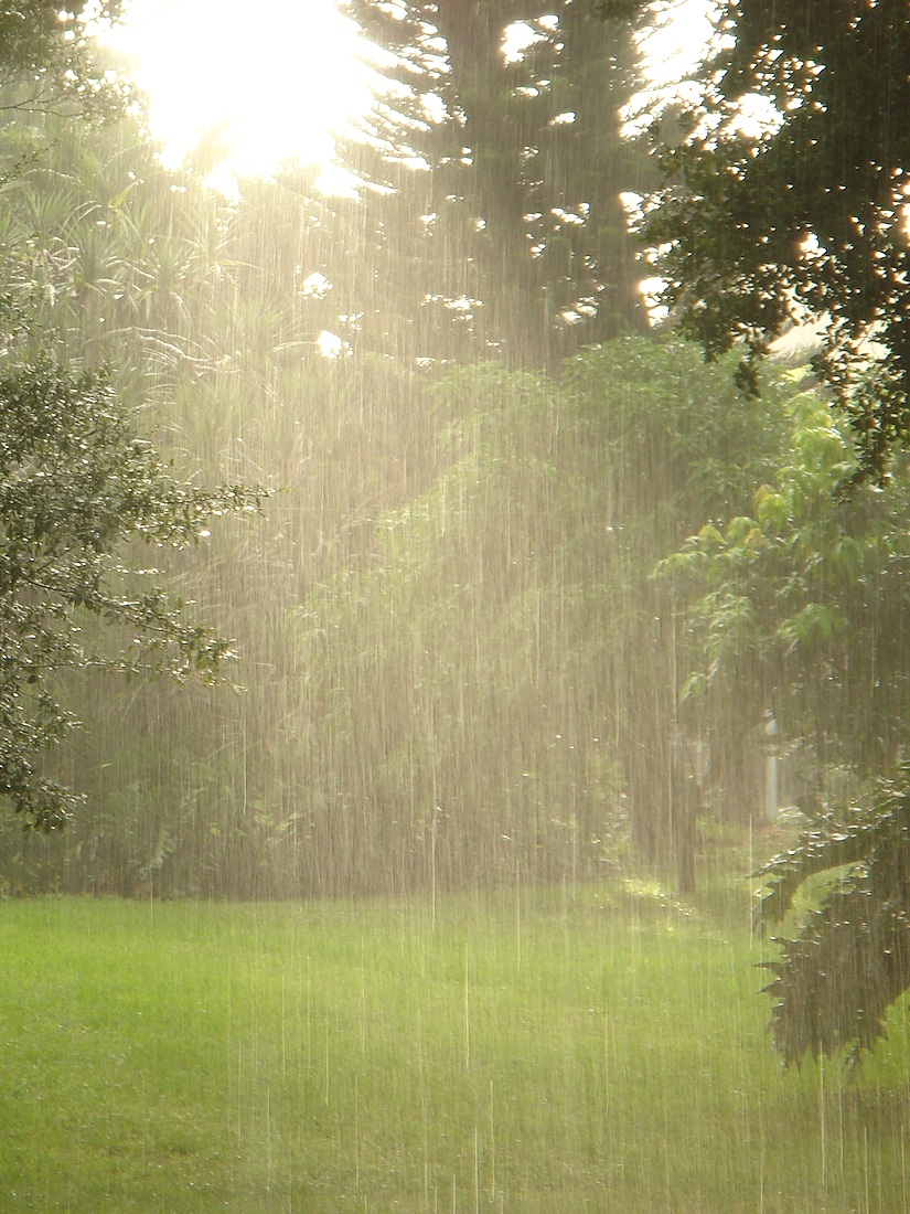 Rain falling in Shaft of Sun