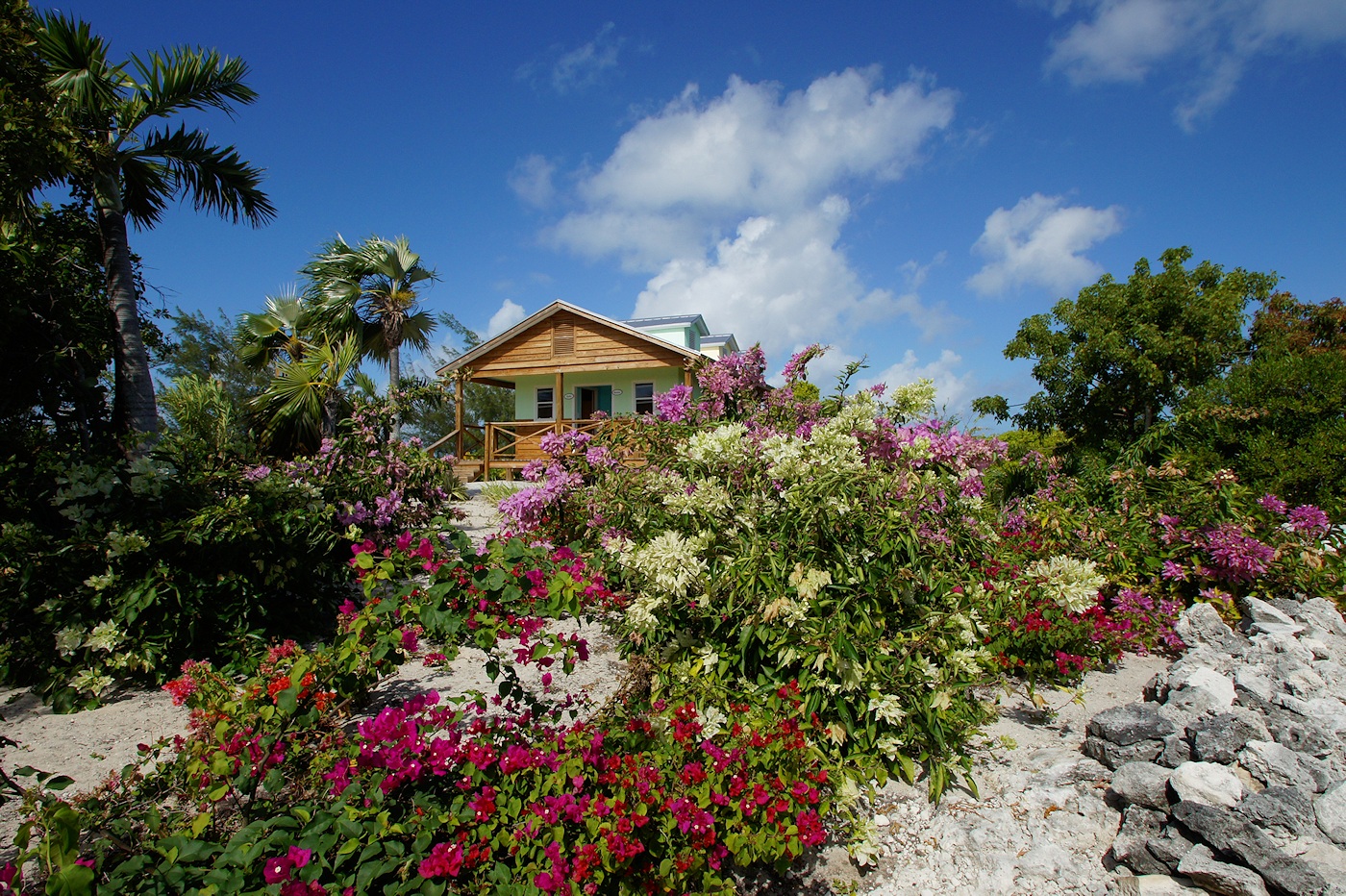 Half Moon Cay landscaping