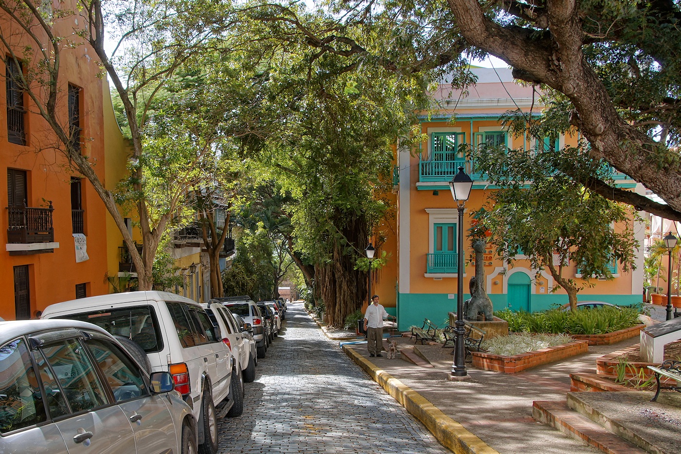 Beautiful street, Caleta de San Juan