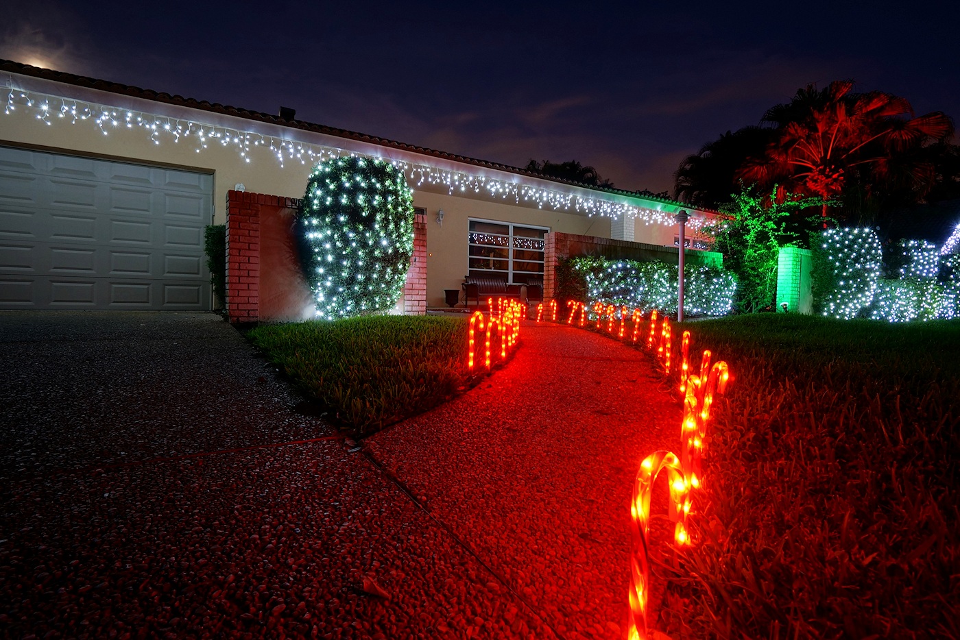 Christmas lights down lower, 2013