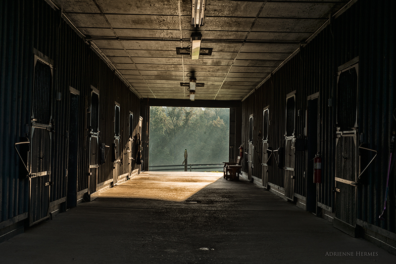 _DSC2191BarnColorHallway.jpg