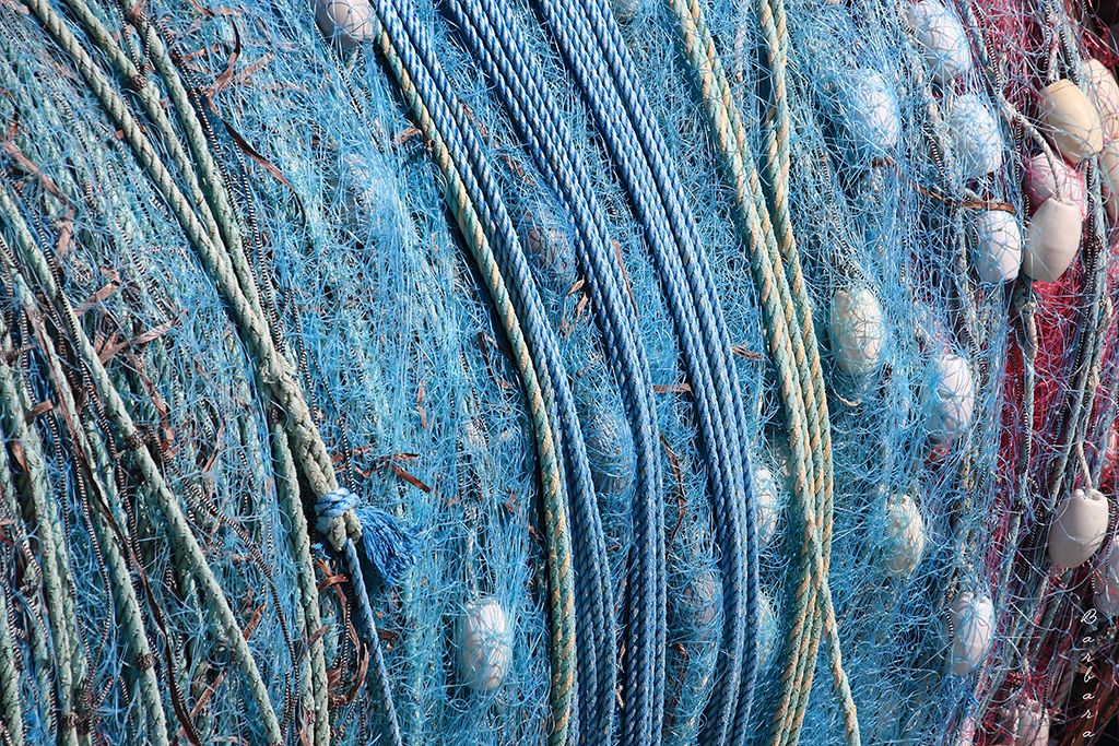 Trawler Netting