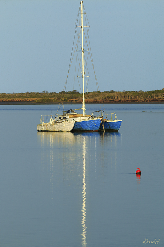 Trimaran - Optimist