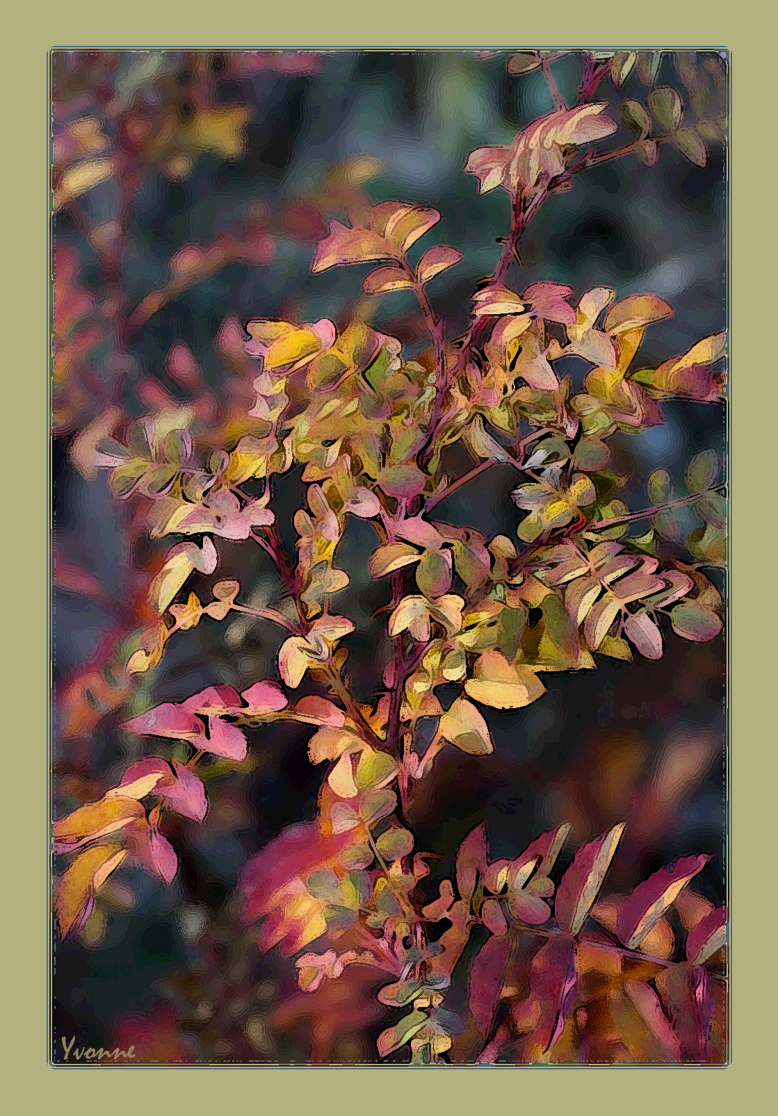 Autumn leaves in the sunshine