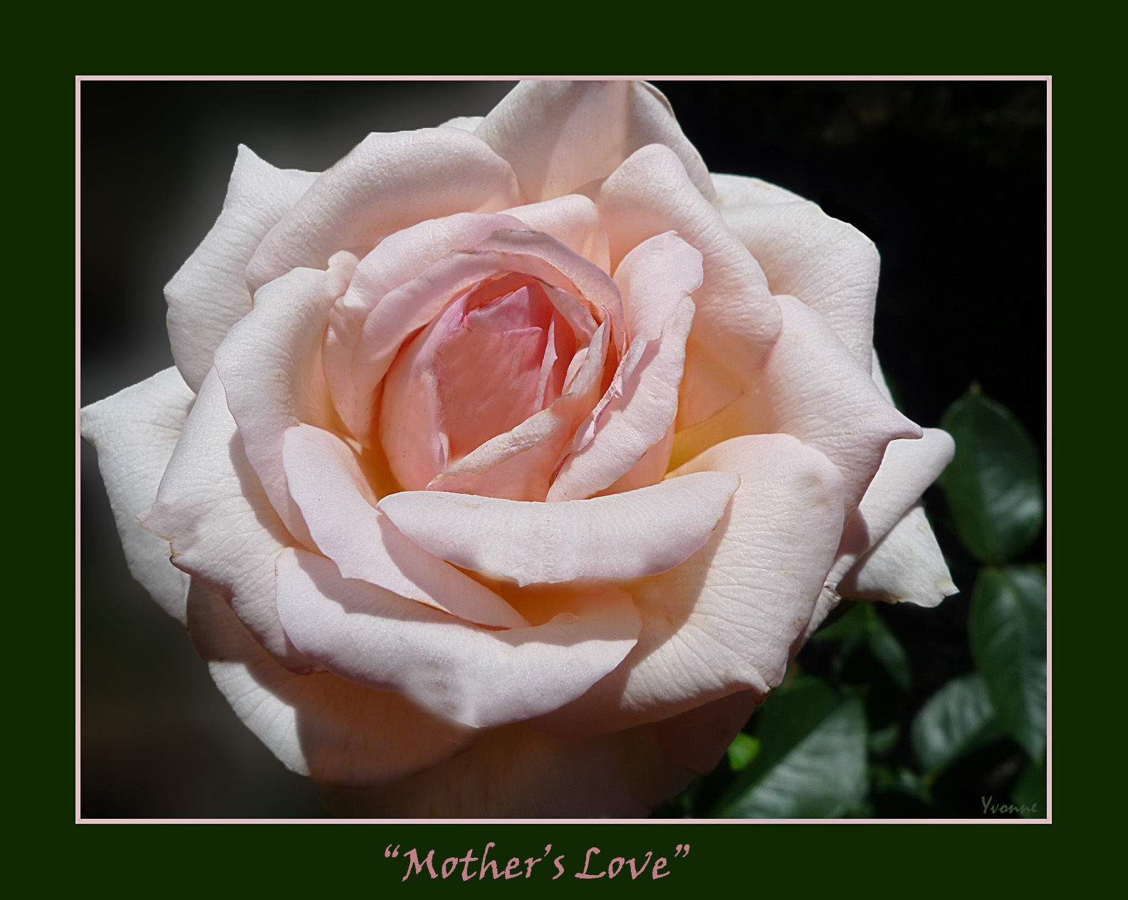 Mothers Love